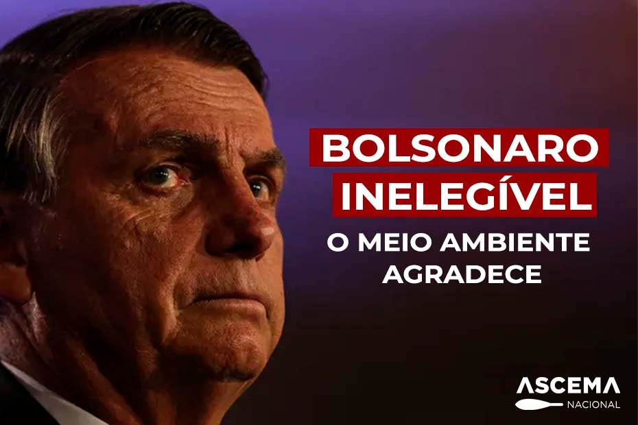 Bolsonaro Inelegivel O Meio Ambiente Agradece